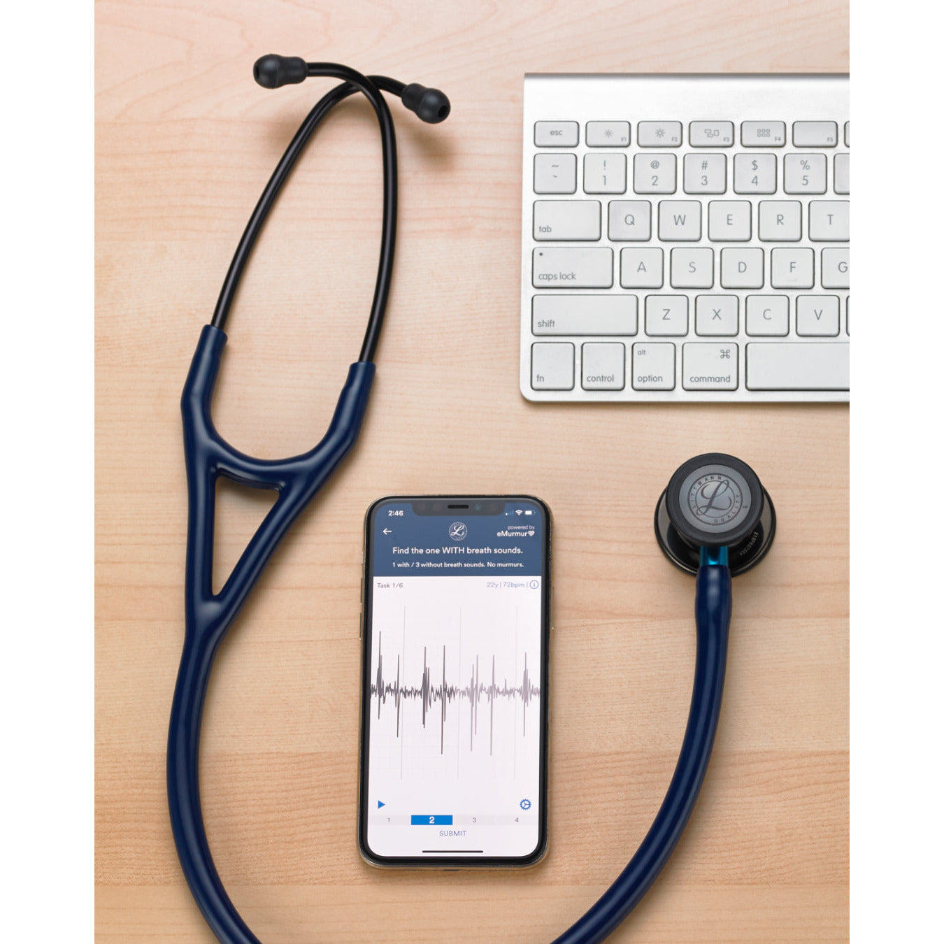 Littmann Cardiology IV Diagnostic Stethoscope: Polished Smoke & Navy - Blue Stem 6202