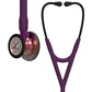 Littmann Cardiology IV Diagnostic Stethoscope: Rainbow & Plum - Violet Stem 6205